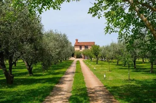 Uliveto