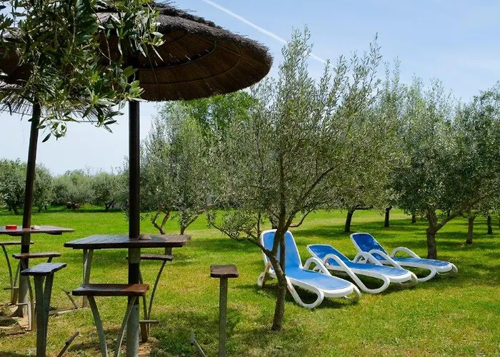 Uliveto Apartment Fazana