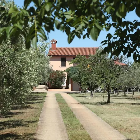 Uliveto Apartment