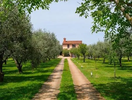 Uliveto