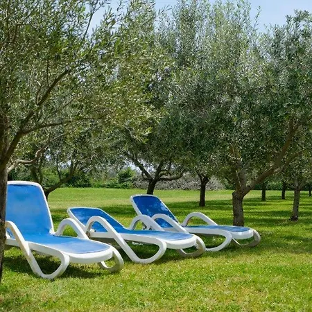 Apartment Uliveto